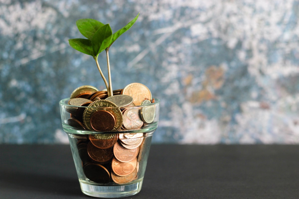 money mindset and abundance